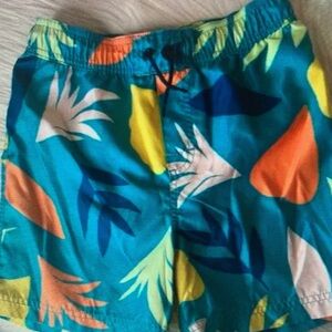 Colorful Kids Swim Trunks